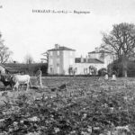 Damazan – Bagnoque